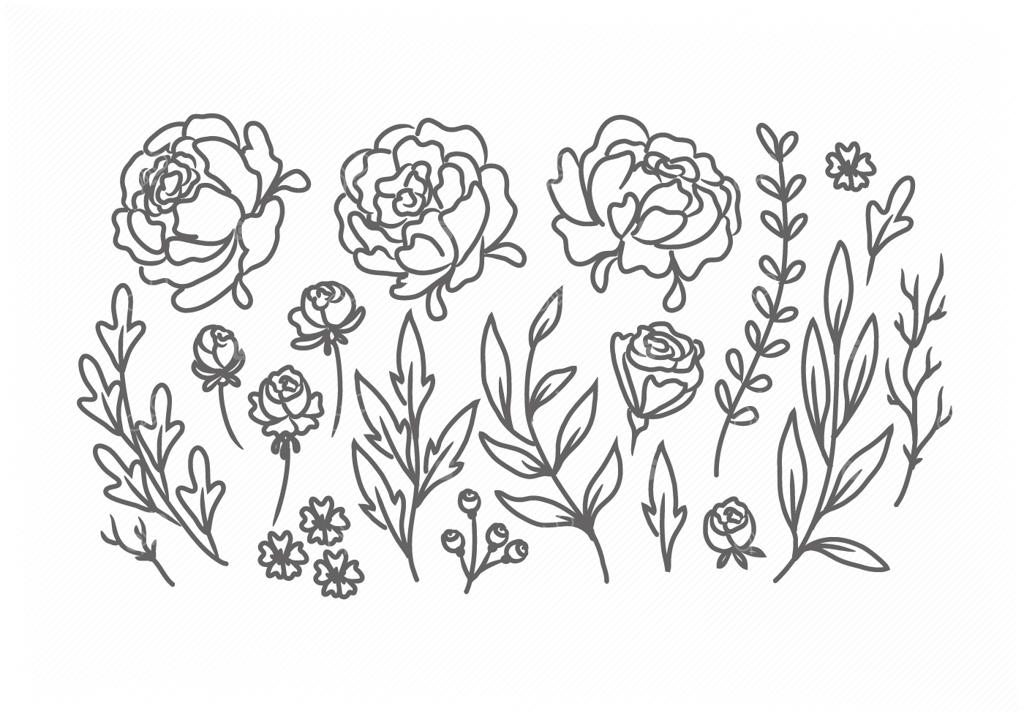 گل‌های دست‌کشیده وکتور