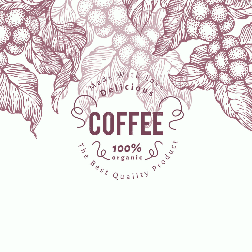 قالب بنر درخت قهوه. تصویرسازی برداری. پس‌زمینه کلاسیک قهوه.