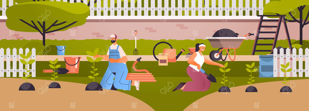 زوج باغبان در حال رسیدگی به گیاهان - همکاری مردم برای کاشت گل و گیاه در باغچه حیاط پشتی - مفهوم باغبانی - تصویر افقی به طور کامل