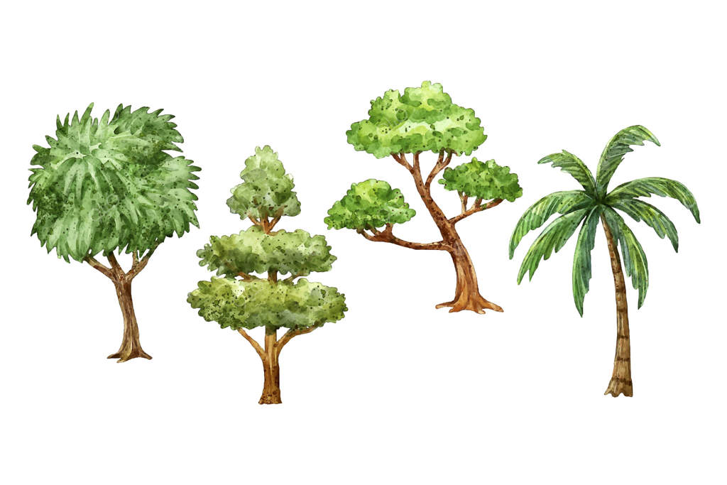 مجموعه درختان نقاشی شده با دست