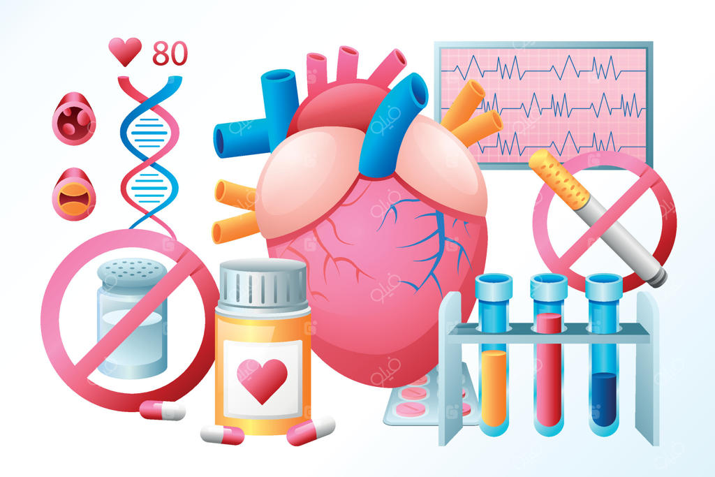 بیماری قلبی عروقی: ارتباط قلب، آناتومی و داروها