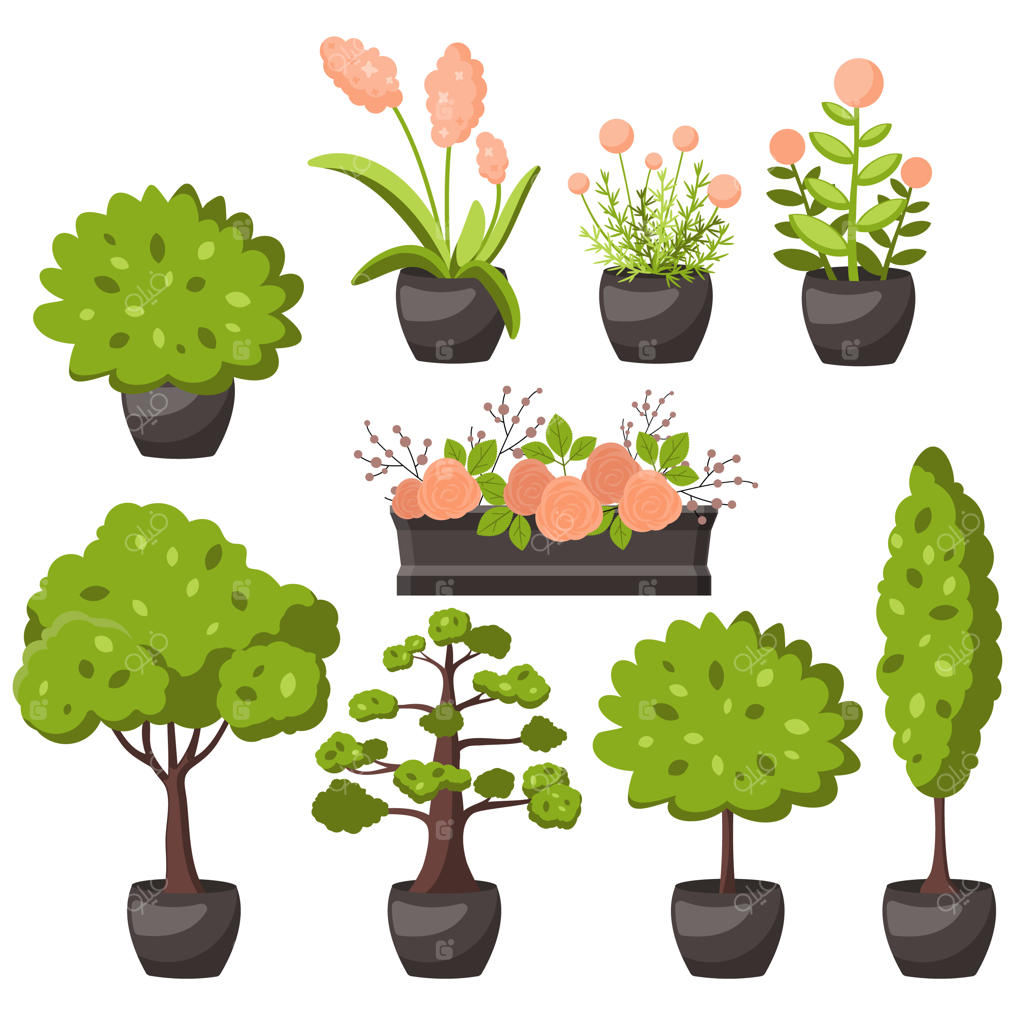 مجموعه آیکون‌های فلت و تزئینی لوگوی درخت با انواع درختان برگ‌ریز و مخروطی