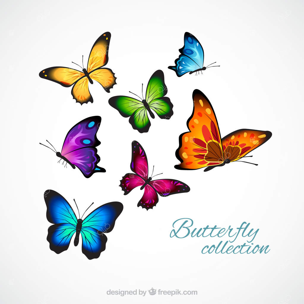 پروانه‌های واقعی و رنگارنگ