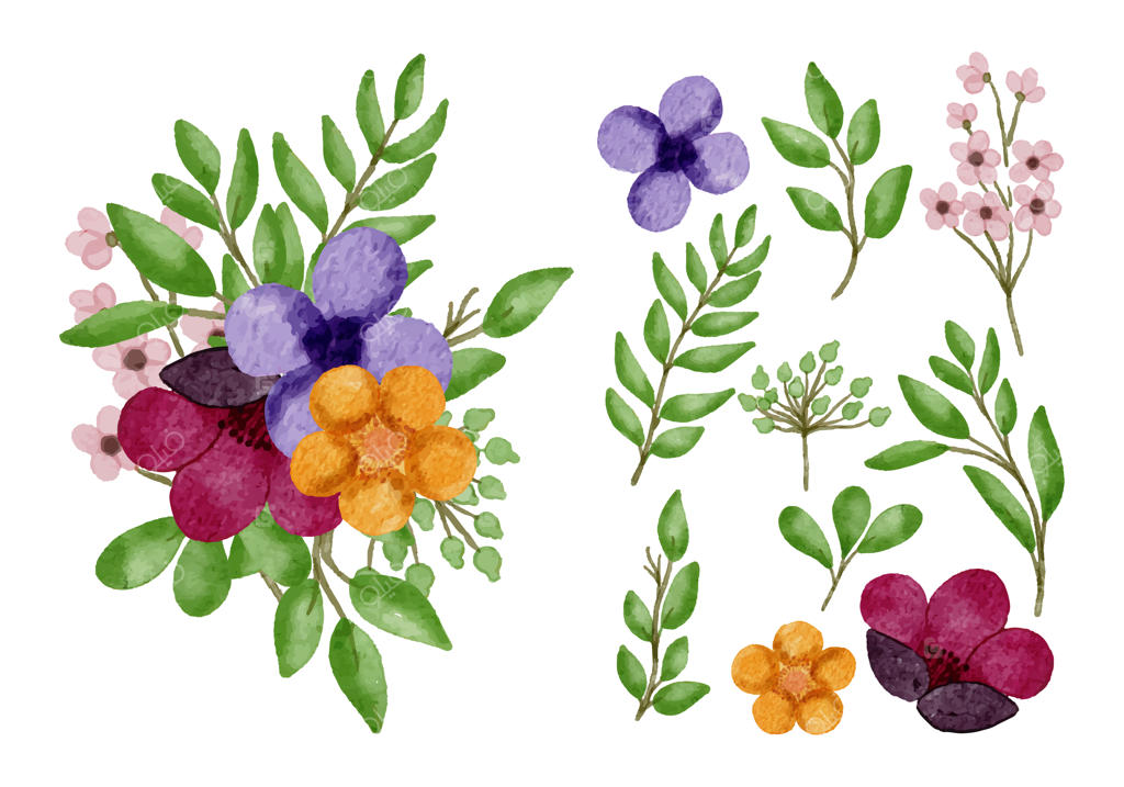 دسته گل زیبا و برگ‌ها برای تزیین در سبک آبرنگی