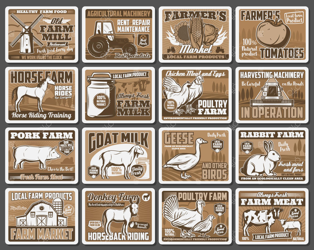 انبار مزرعه، زمین کشاورزی، حیوانات و سبزیجات؛ کشاورزی