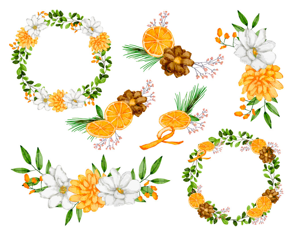 مجموعه گیاه‌شناسی بزرگ از گل‌های وحشی: اجزا را جدا کرده و دسته گل‌های زیبایی با سبک آبرنگ در پس‌زمینه سفید خلق کنید - تصویرسازی وکتور تخت