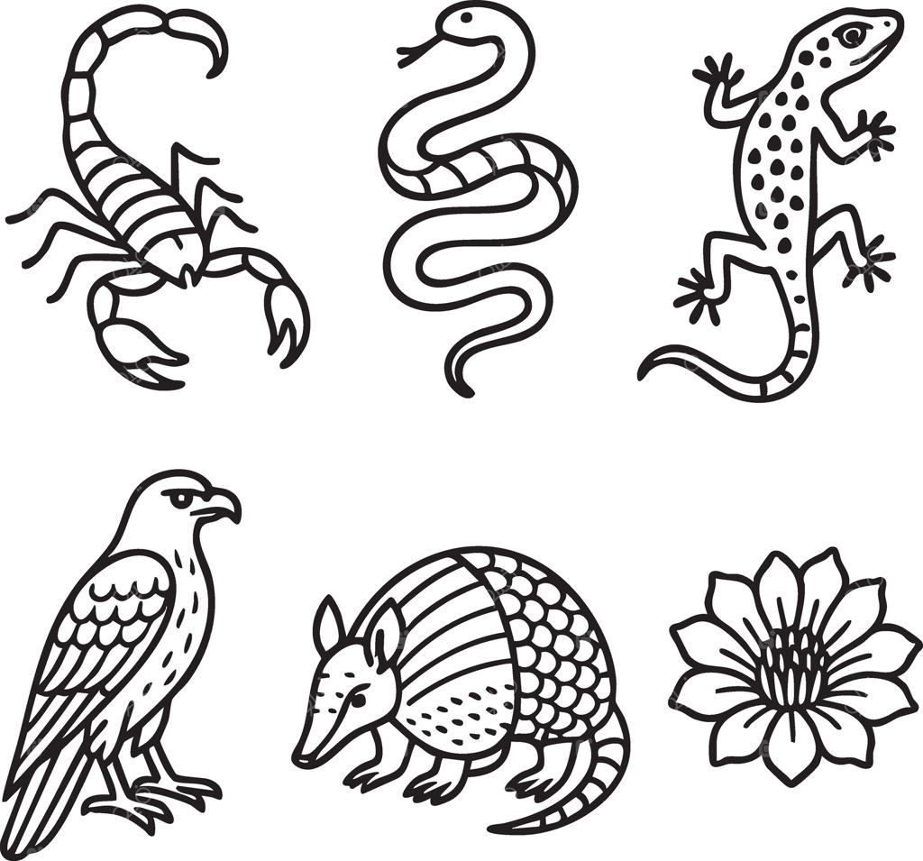 نمادهای حیات وحش: عقرب، مار، مارمولک، عقاب، آرمادیلو و طرح گل‌ها