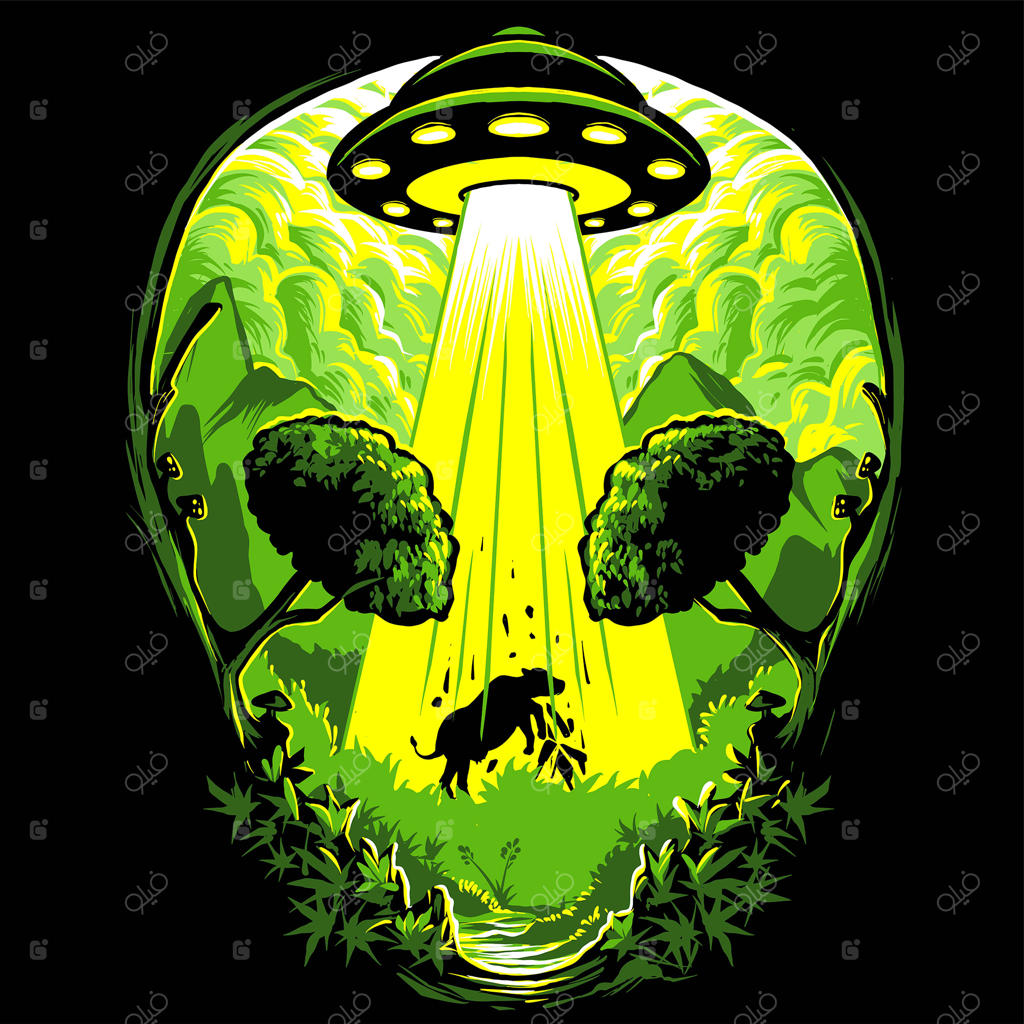 حمله بیگانگان