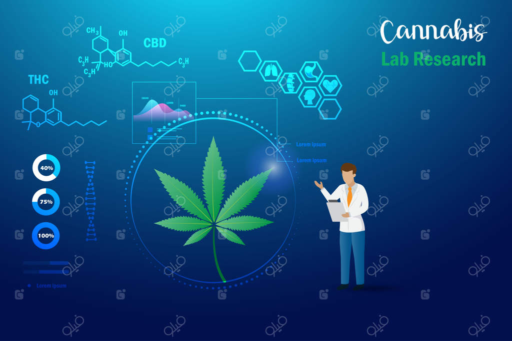 دانشمند در آزمایشگاه به تحلیل و تحقیق بر روی برگ‌های ماری‌جوانا با THC و CBD می‌پردازد