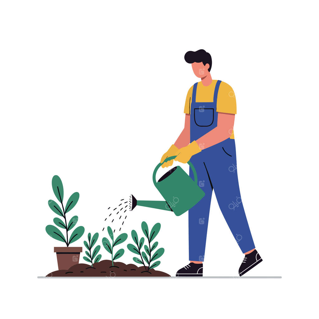 مردی که با آبپاش در حال آبیاری نهال‌های سبز در باغ است (تصویر تخت)