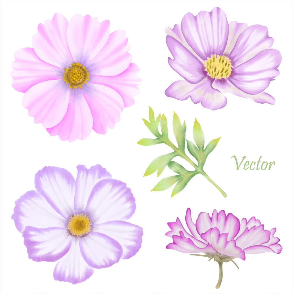 گل‌های زیبای کیهان آبرنگی - تصویرسازی باغ بهاری