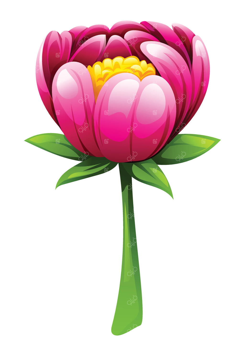 تصویر کارتونی گل صد‌تومانی صورتی با ساقه