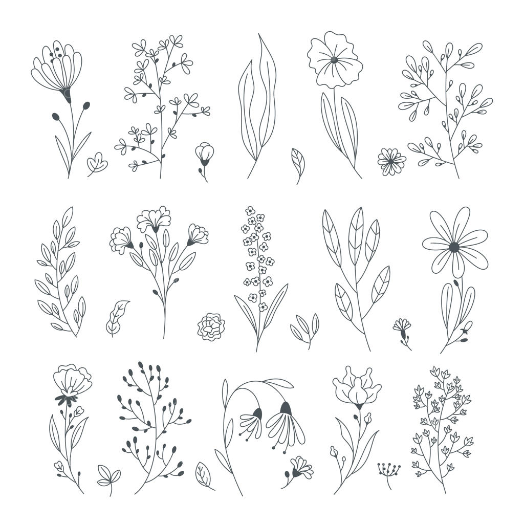 مجموعه وکتور گل و برگ طرح دستی