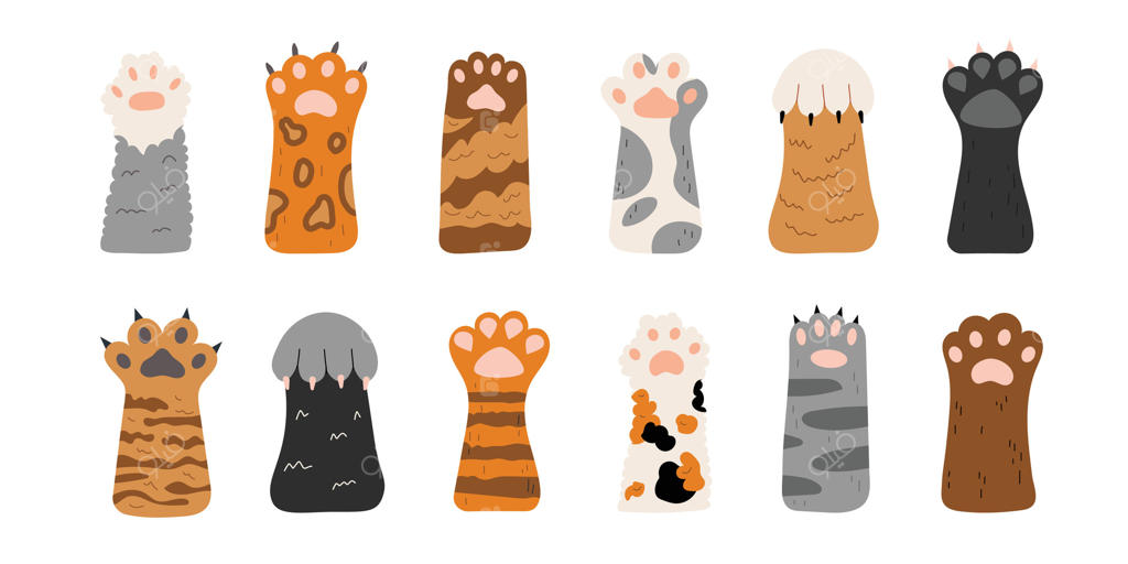 مجموعه‌ای از پنجه‌های بامزه گربه‌ها. تنوعی از پنجه‌های گربه‌ها. کلکسیونی از پاهای حیوانات خانگی با ناخن‌ها و پوشش‌های مختلف. موارد جدا شده بر روی پس‌زمینه سفید. روز جهانی گربه‌ها.