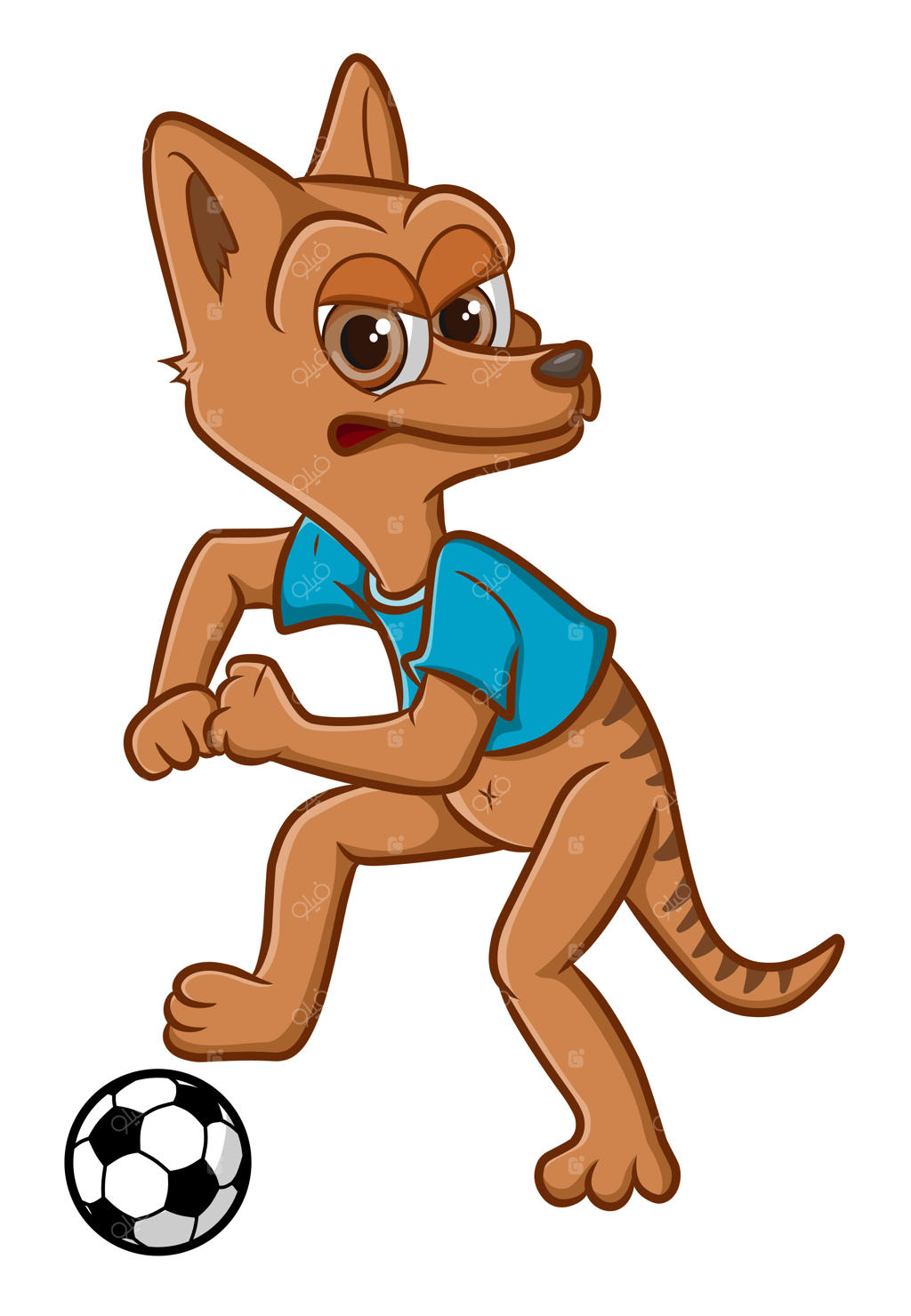 تاسمانیای خشمگین آماده فوتبال بازی کردن است