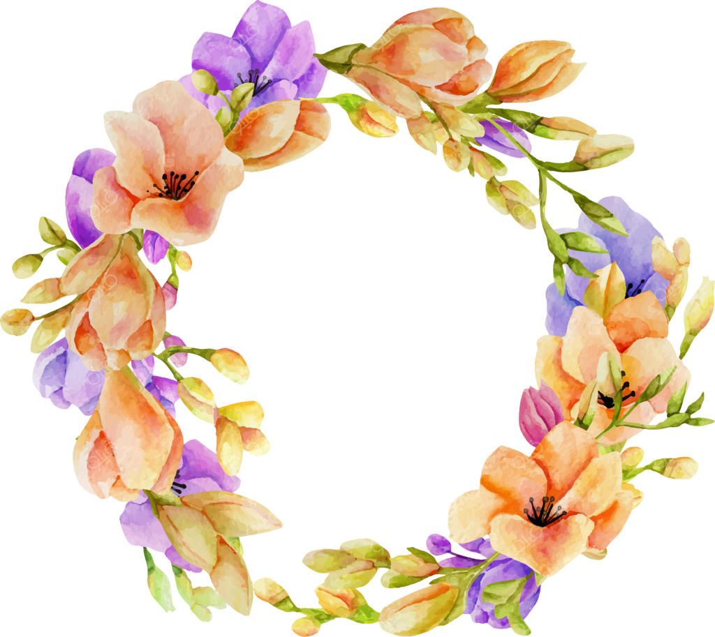 حلقه گل‌های فرزیا صورتی و بنفش با آبرنگ