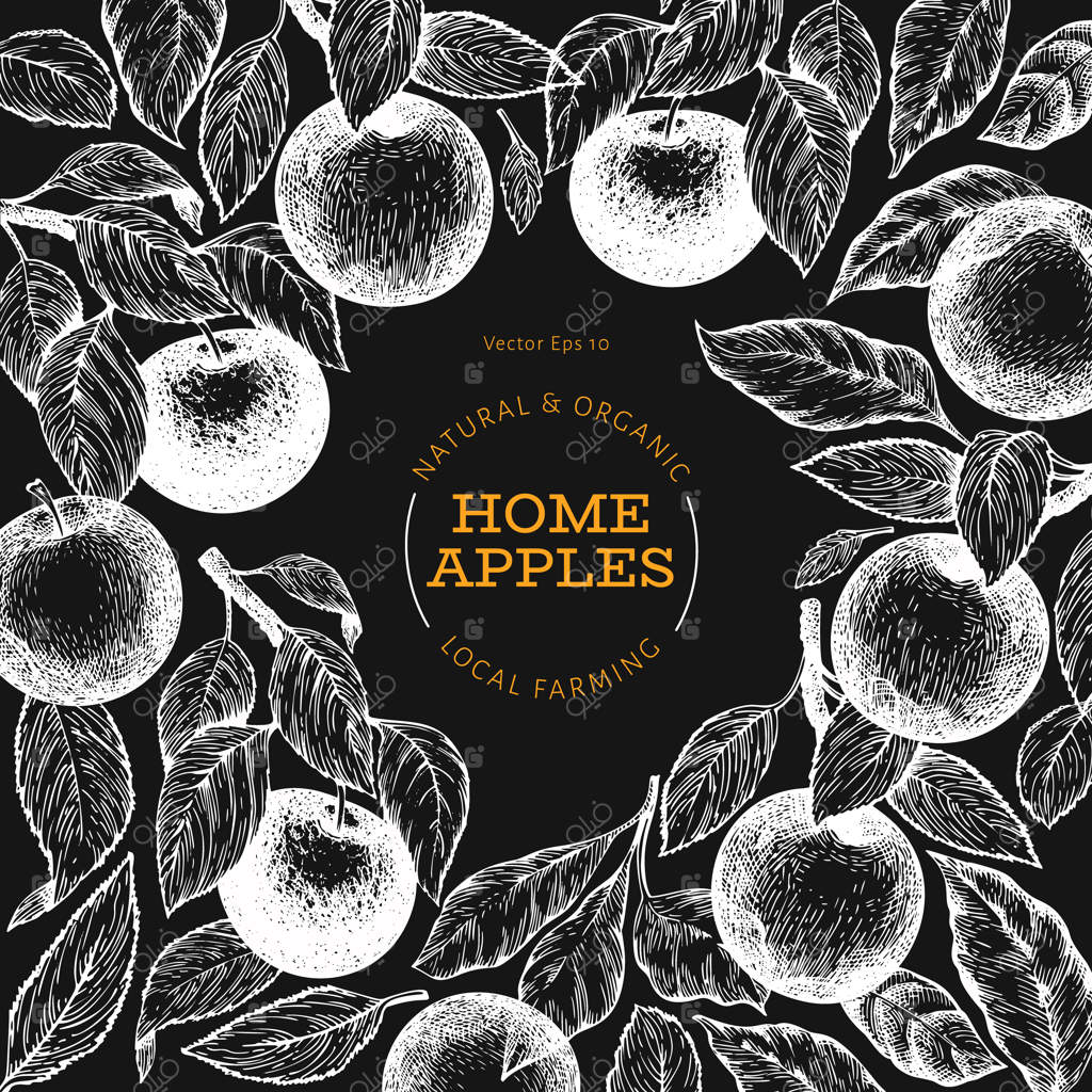 قالب شاخه سیب. تصویرسازی دست‌کشیده میوه باغی بر روی تخته سیاه. قاب میوه با سبک حکاکی. طراحی گیاهی قدیمی.