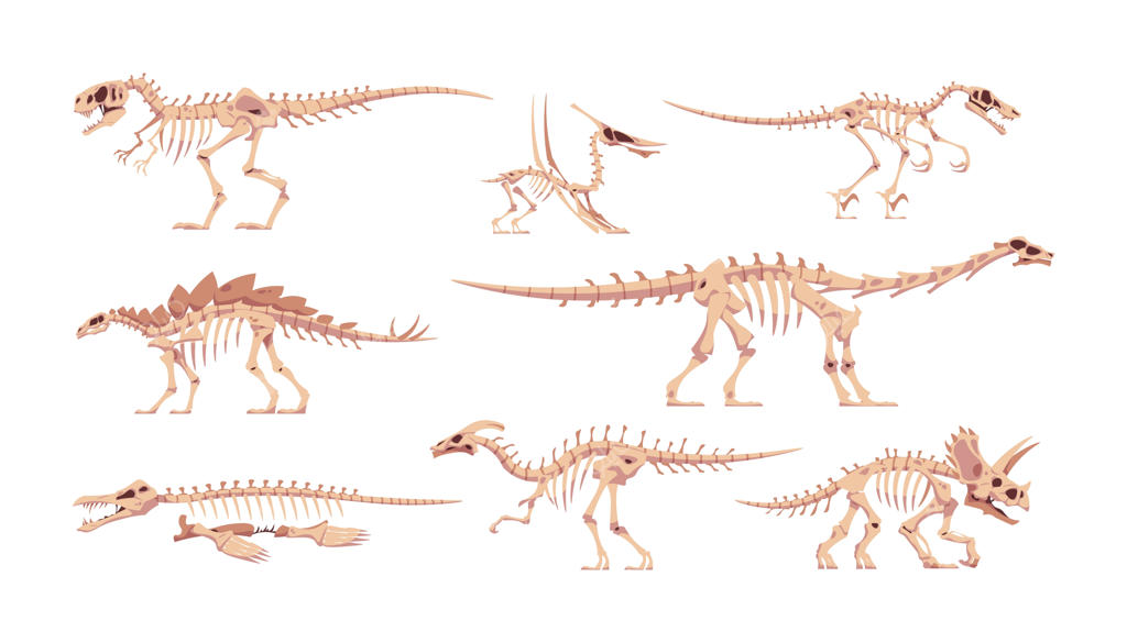 استخوان‌بندی دایناسور: نقاشی فسیل‌های جمجمه و استخوان‌های تیرانوسور یا تریسراتوپس، مجموعه‌ای از دایناسورهای کارتون‌مانند، خزندگان باستانی دوران ژوراسیک.