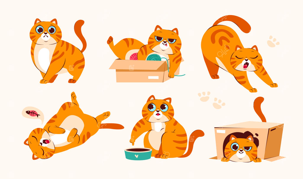 گربه زنجبیلی بامزه: بازیگوشی، خواب و غذا خوردن - مجموعه‌ای از تصاویر خنده‌دار از زندگی یک حیوان خانگی