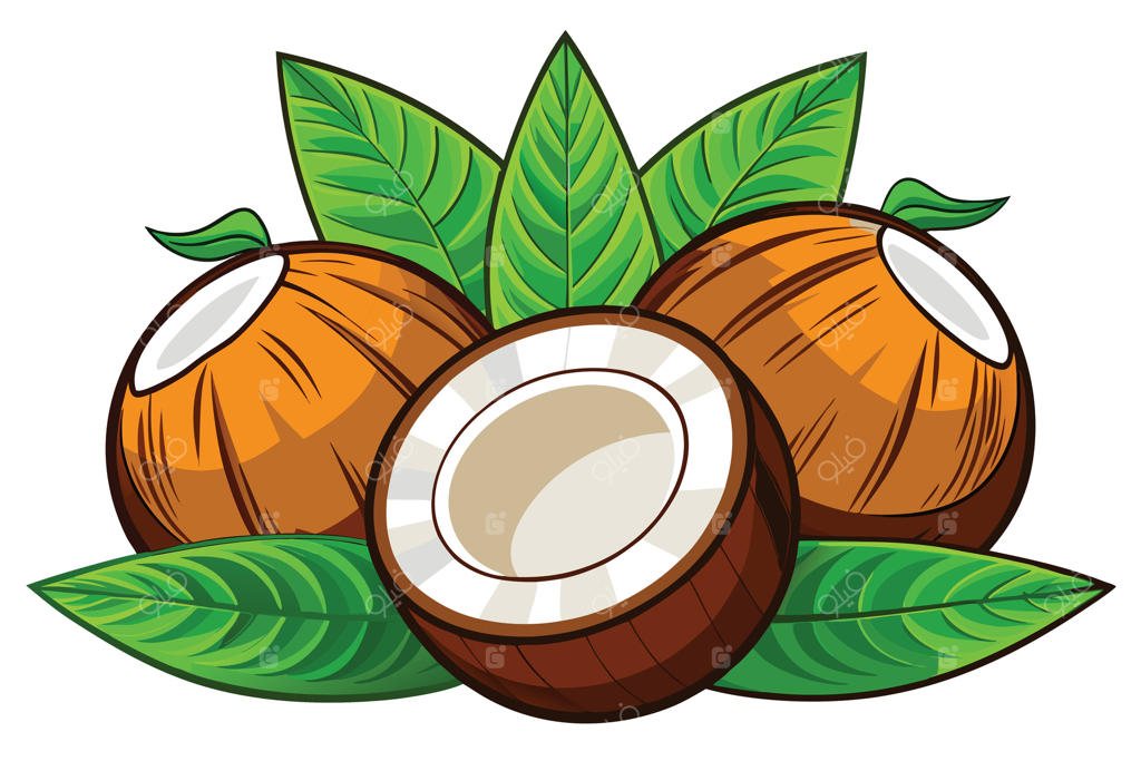 نارگیل‌های کارتونی با برگ‌های سبز، کامل و نصف‌شده با پوسته قهوه‌ای و گوشت سفید