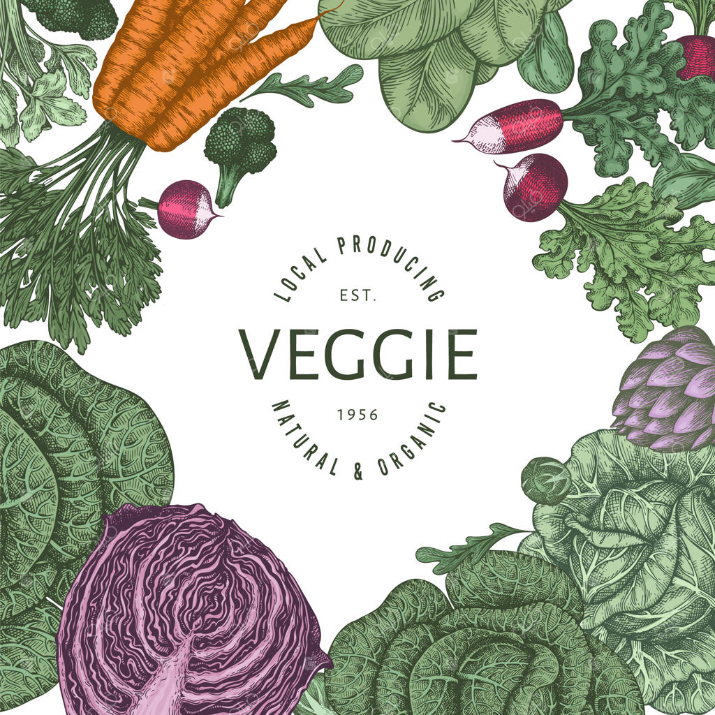 طراحی سبزیجات رنگی به سبک قدیمی و دست‌کشیده.