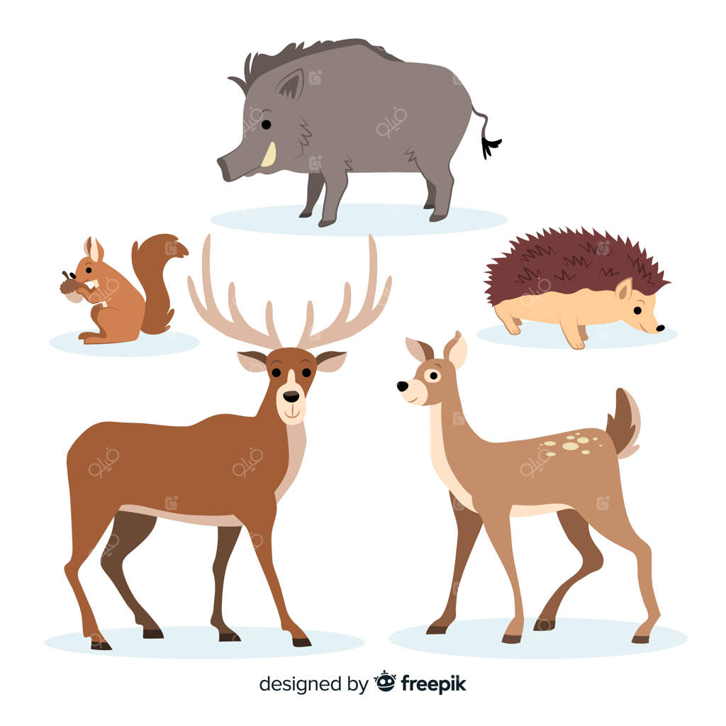 مجموعه‌ای از حیوانات جنگلی پاییزی طراحی شده با دست