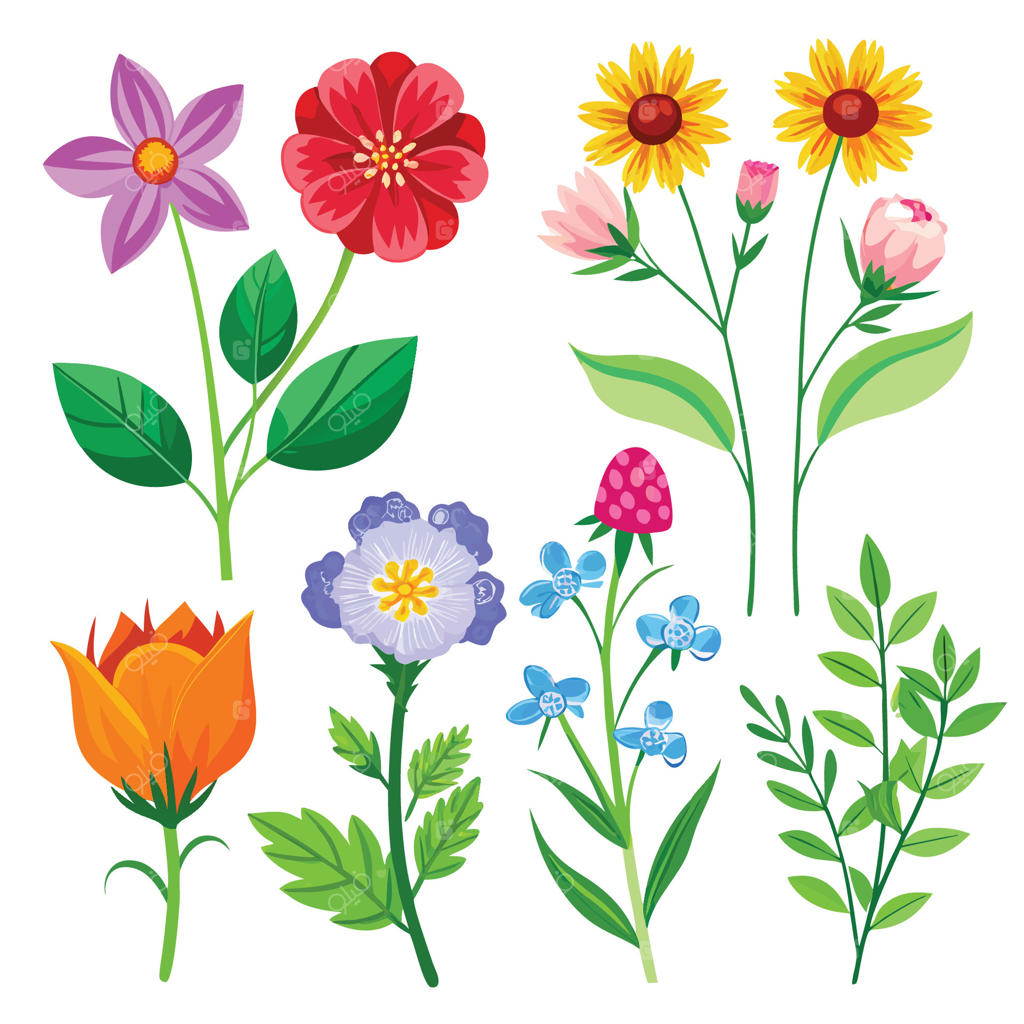 شگفتی‌های گل‌های باغچه