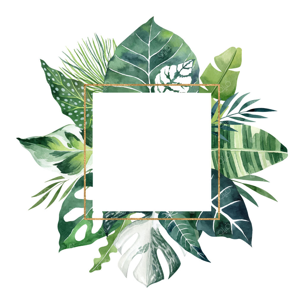 برگ‌های استوایی با قاب مربع طلایی و فضای خالی برای متن، تصویر وکتور آبرنگی