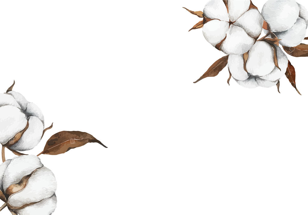 تصویر آبرنگی کادر دستی با گل‌های پنبه‌ای. توپ‌های پنبه‌ای