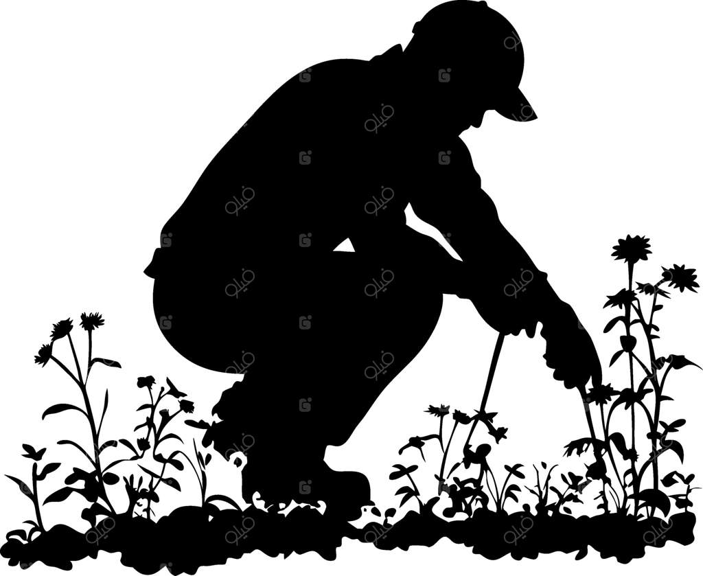 تصویر سایه‌ گرافیکی باغبانی در حال کار بر روی باغچه برای مراقبت از گیاهان و باغبانی خانگی