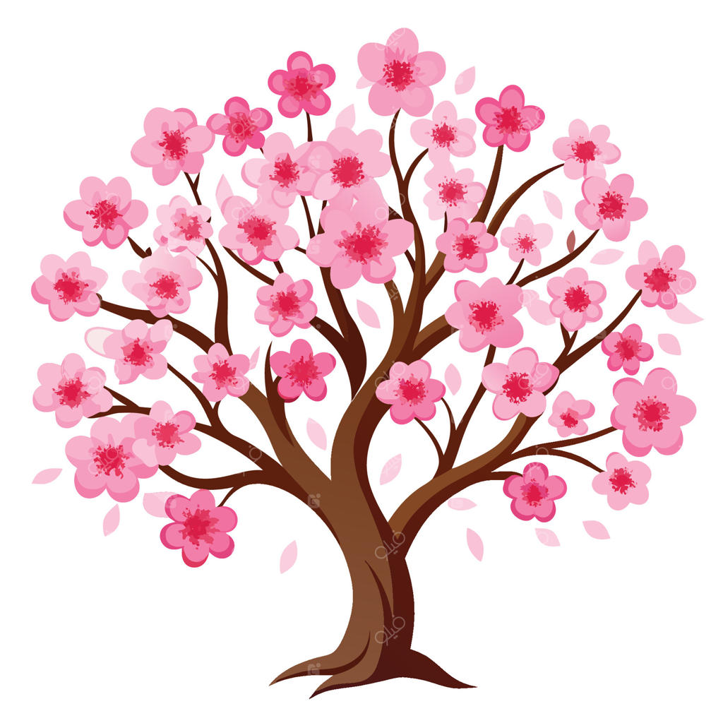 درخت شکوفه گیلاس با گل‌های صورتی