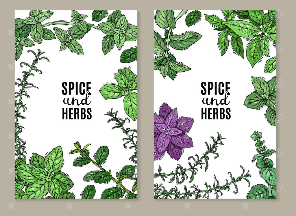 بنرهای گیاهان دارویی و ادویه‌ها