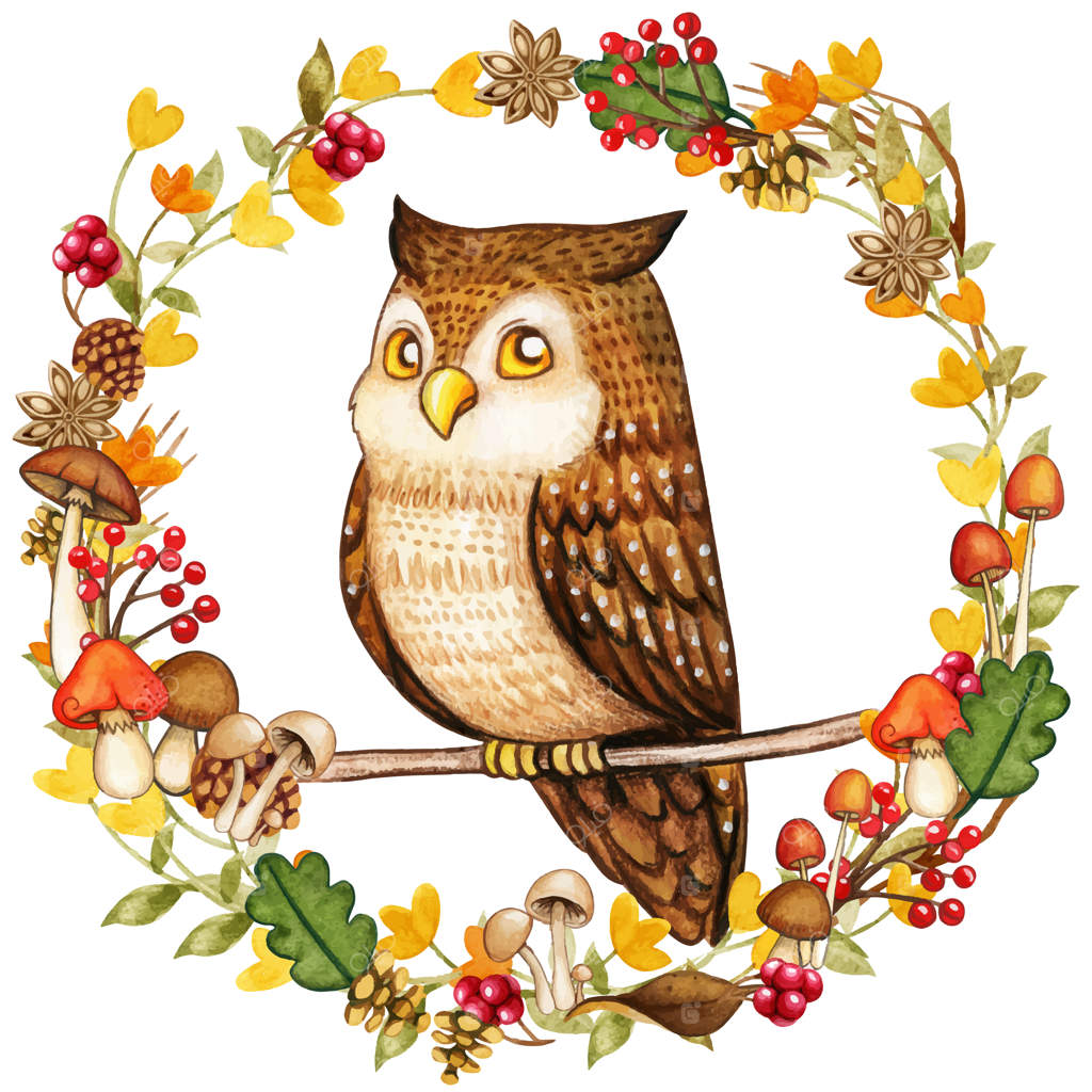 جغد آبرنگی شیک در حلقه‌ای از جنگل