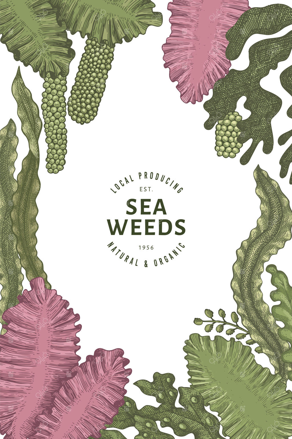 طراحی رنگ جلبک دریایی