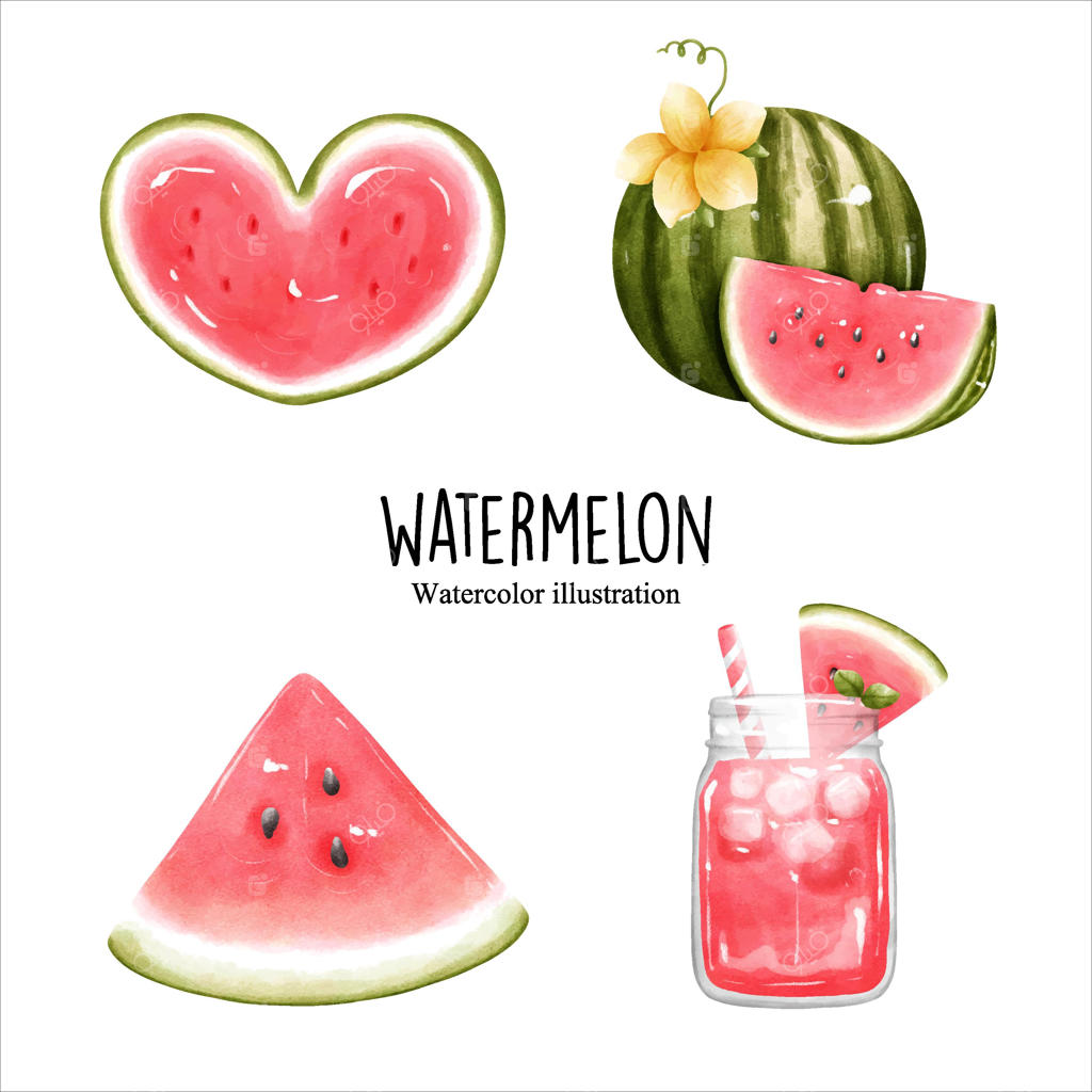 تصویرسازی وکتور هندوانه آبرنگی