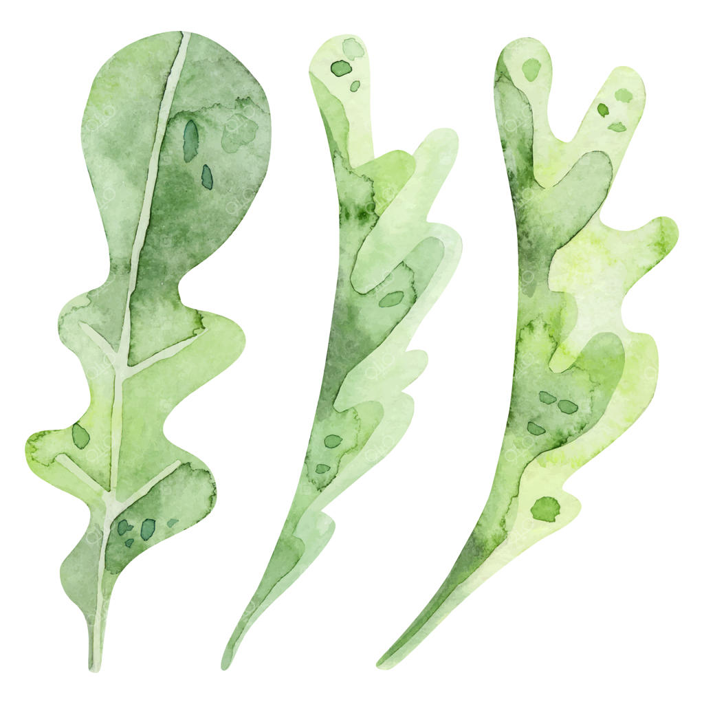 تصویرسازی برگ‌ها