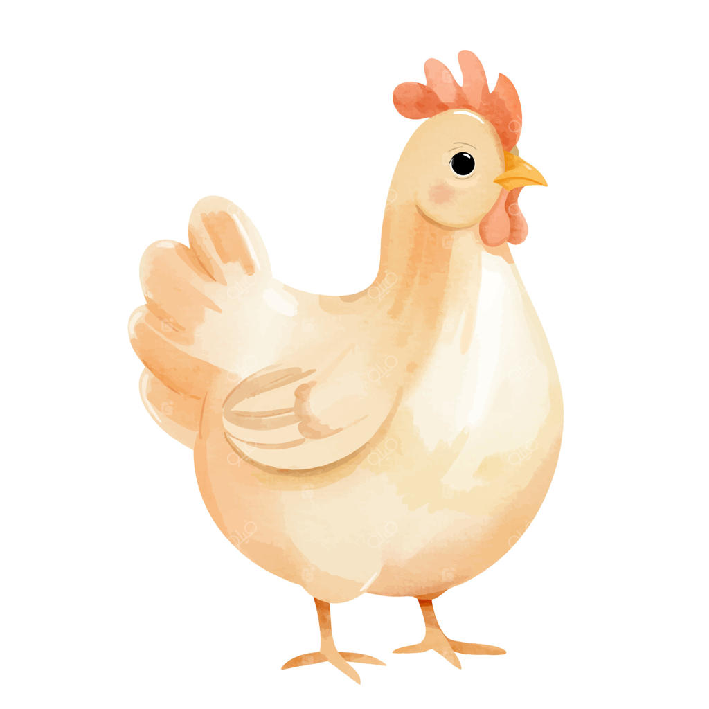 مرغ بامزه به سبک آبرنگ. حیوانات مزرعه با طراحی دستی. مرغ آبرنگی