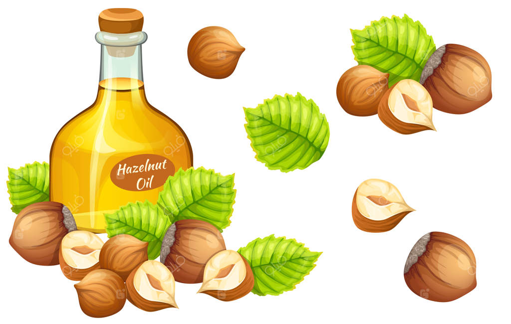 روغن فندق و دانه‌های فندق