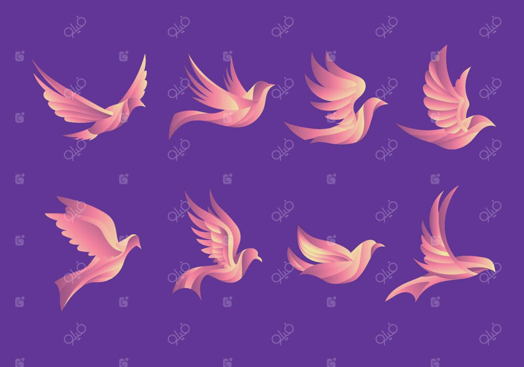 تصویرسازی زیبای کبوتر در حال پرواز