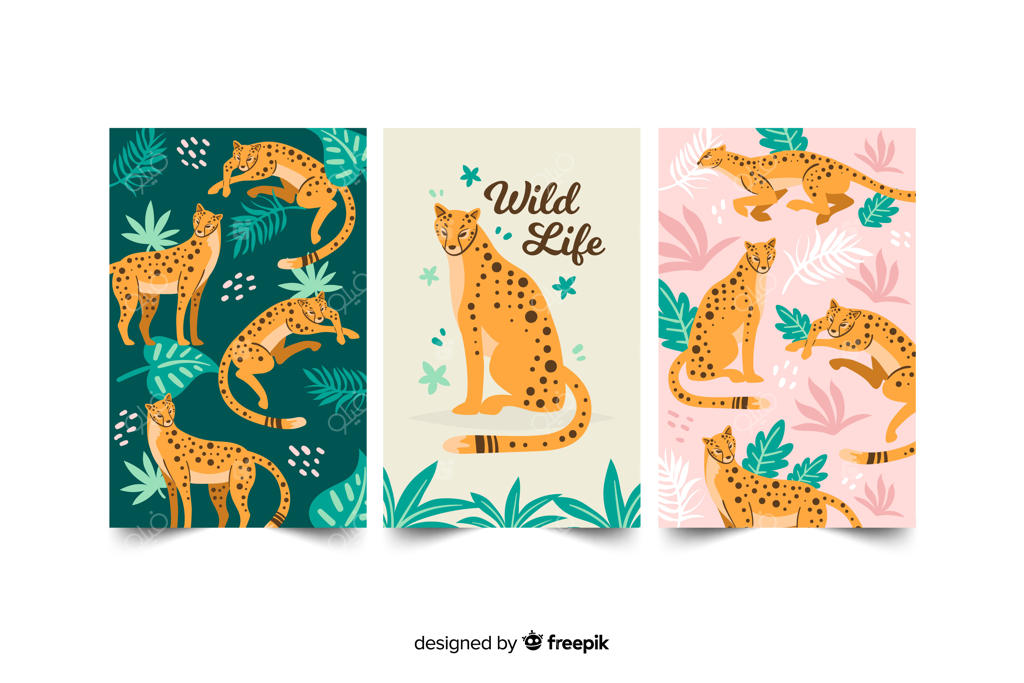 مجموعه کارت‌های حیوانات وحشی با طراحی دستی