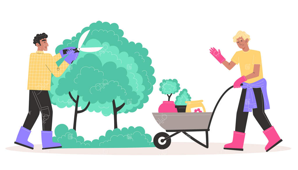 افراد از باغ مراقبت می‌کنند، مردان بوته‌ها را با قیچی باغبانی هرس می‌کنند و با چرخ دستی گیاهان گلدانی و کود حمل می‌کنند.