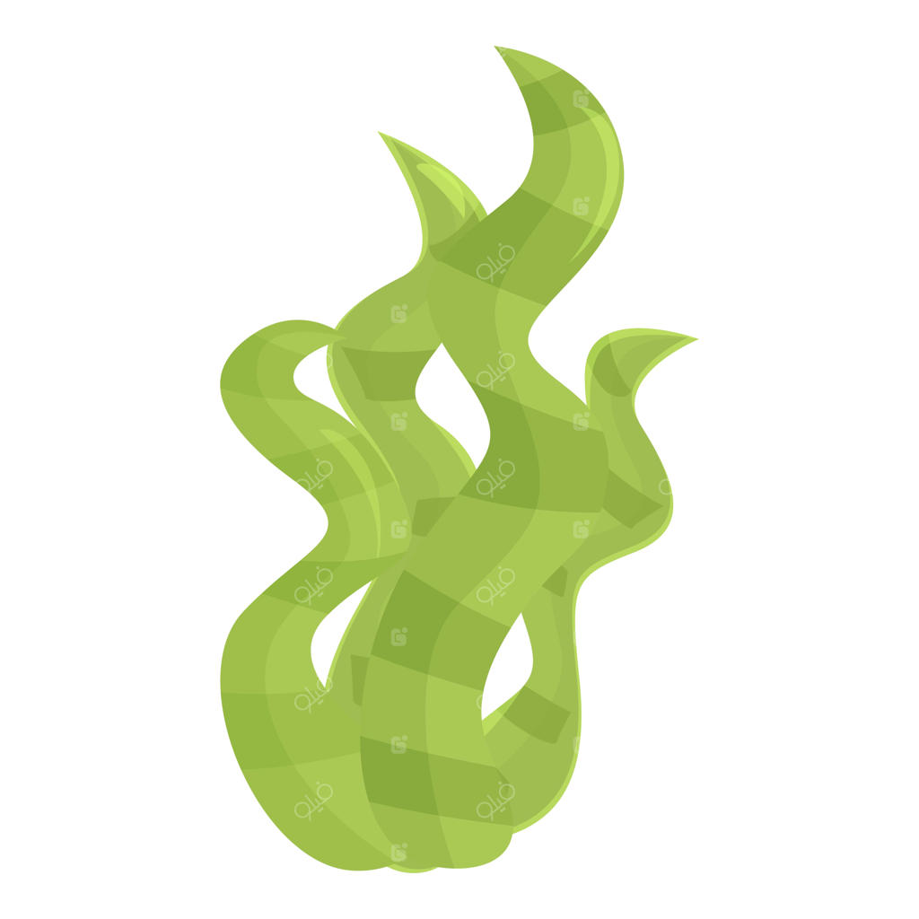 رویش جلبک‌های سبز لامیناریا در بستر اقیانوس