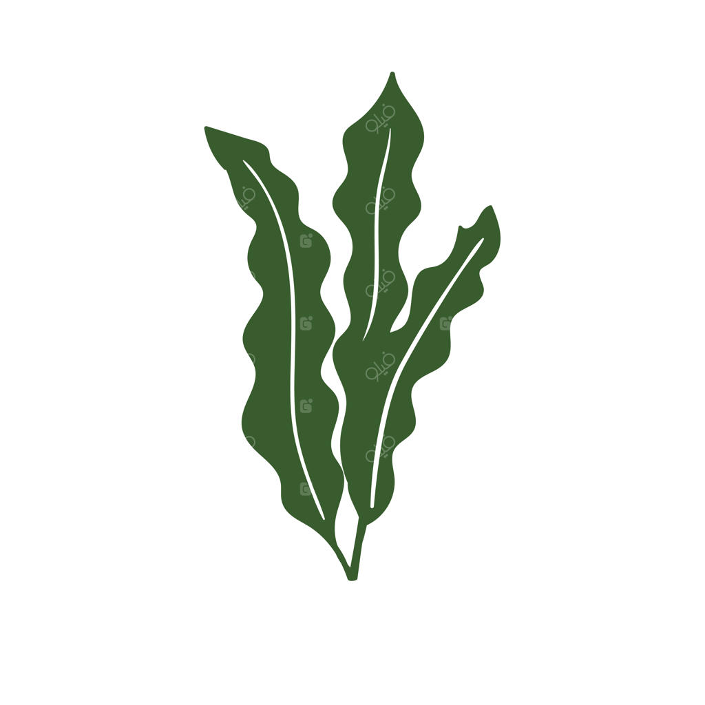 وکتور جلبک دریایی و مرجان