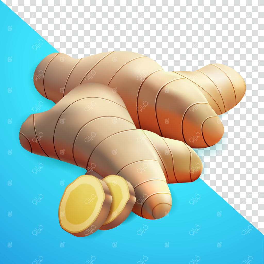 زنجبیل: مناسب برای تزئین، طعم‌دهنده‌ها، ادویه‌های آشپزی و تبلیغات