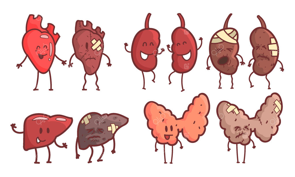 مجموعه شخصیت‌های کارتونی اعضای داخلی سالم و ناسالم بدن: کلیه‌ها، قلب، کبد و تیروئید