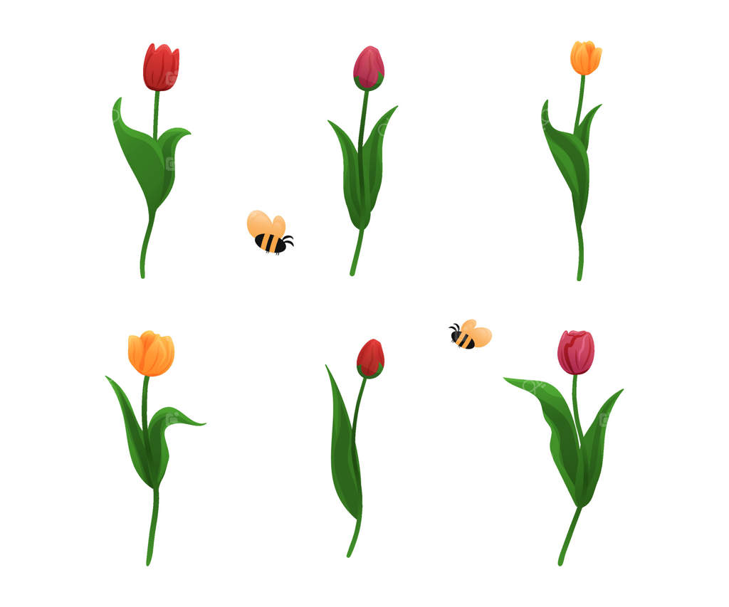 لاله‌های بهاری و زنبورها باغی پر رونق و پر از شکوفه‌ها می‌آفرینند