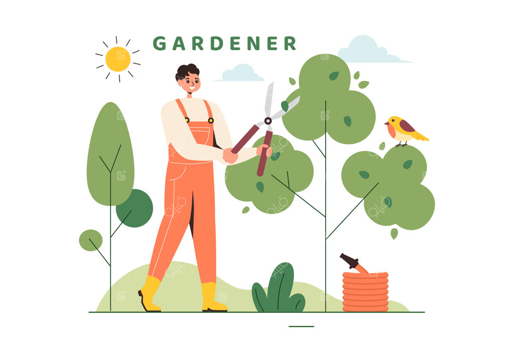 تصویرسازی وکتور باغبان و ابزار باغبانی در حال کاشت سبزیجات با سبک فلت و پس‌زمینه کارتونی تابستانی