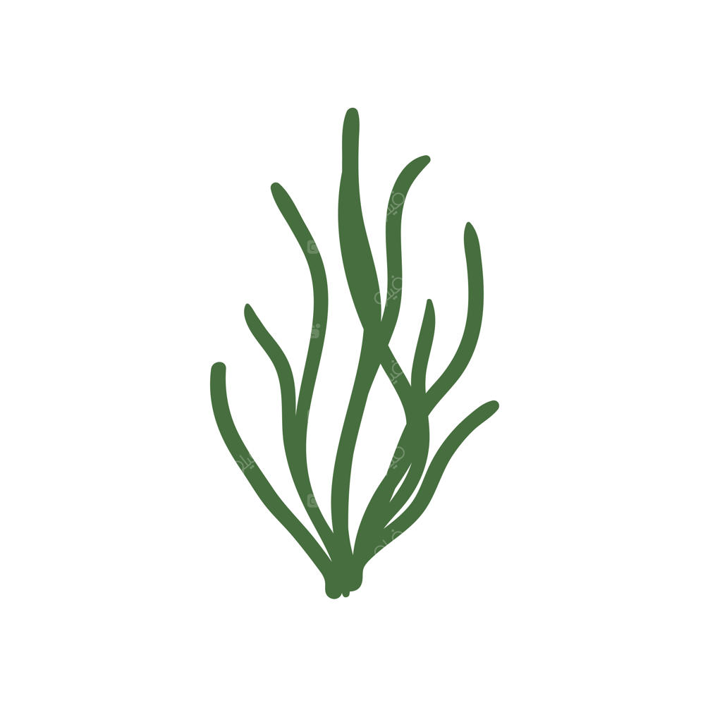 وکتور مرجان و جلبک دریایی