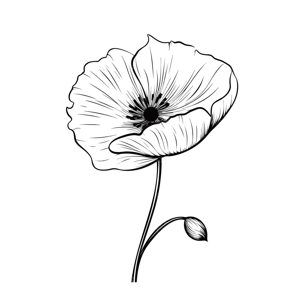 وکتور دسته‌گل‌های خطی و مینیمال گیاهی؛ المان‌های ترندی گل، برگ و شاخه‌های وحشی و باغی برای طراحی لوگو، تاتو و کارت دعوت