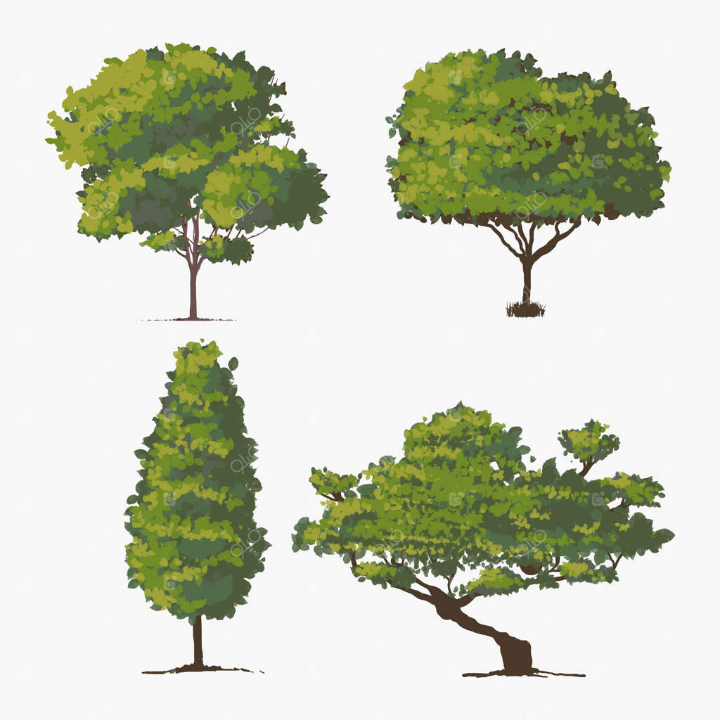 مجموعه وکتور بوته و درخت - تصویرسازی وکتوری